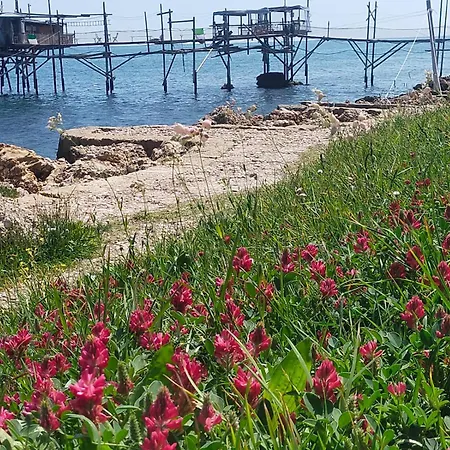 公寓 Vista Mare Villalfonsina