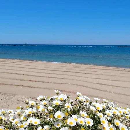 Vista Mare Daire *